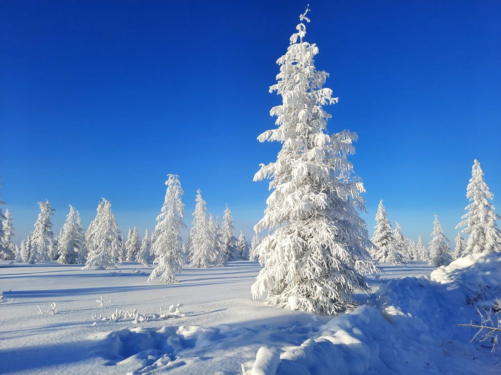 Photograph by Галина Искандарова