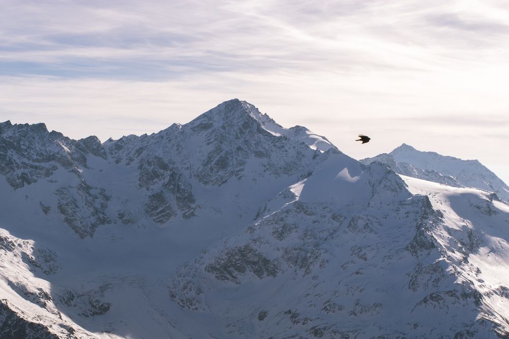 Photograph by Ольга