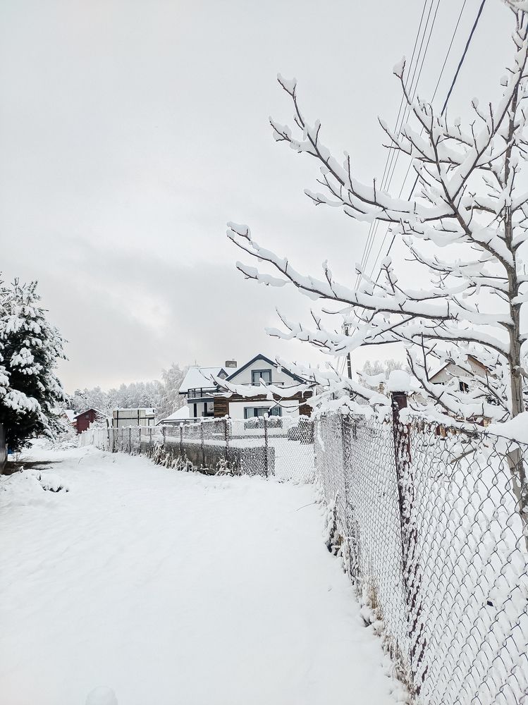 Photograph by Юлия Гашева