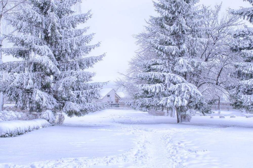 Фотография автора Юлия Кранина