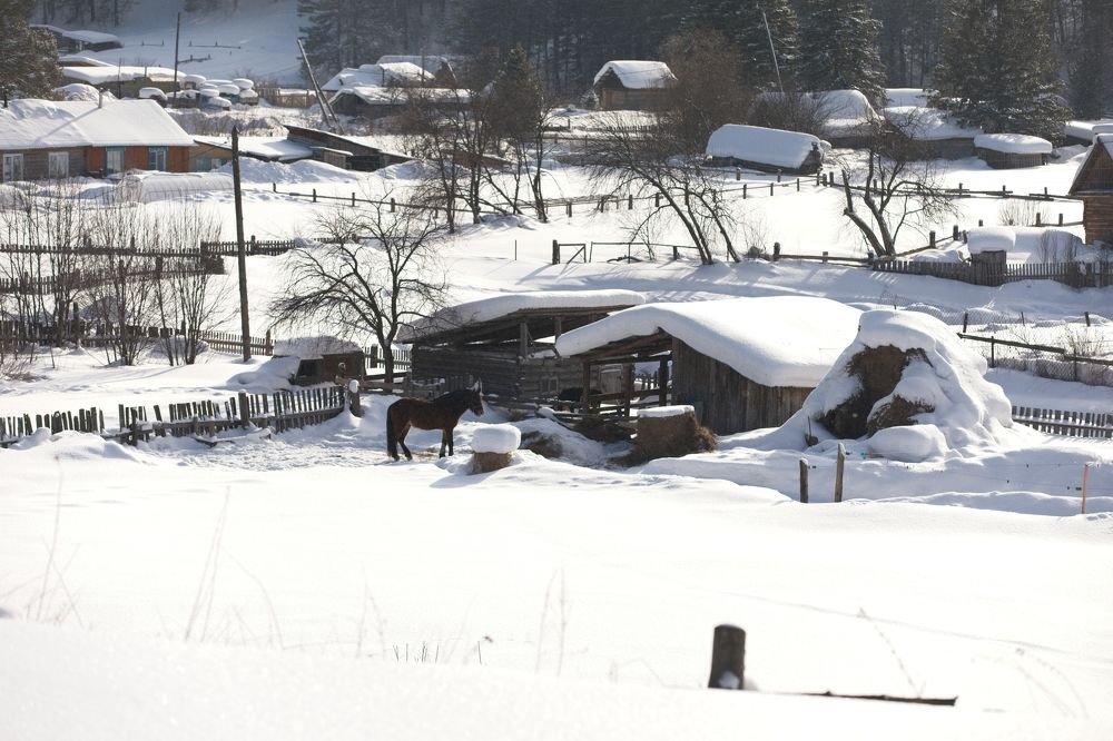 Photograph by Игорь Щербаков