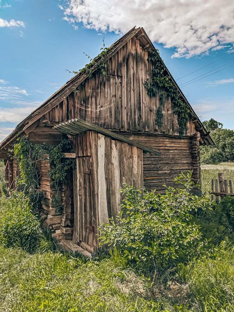 Photograph by Юлия Гашева