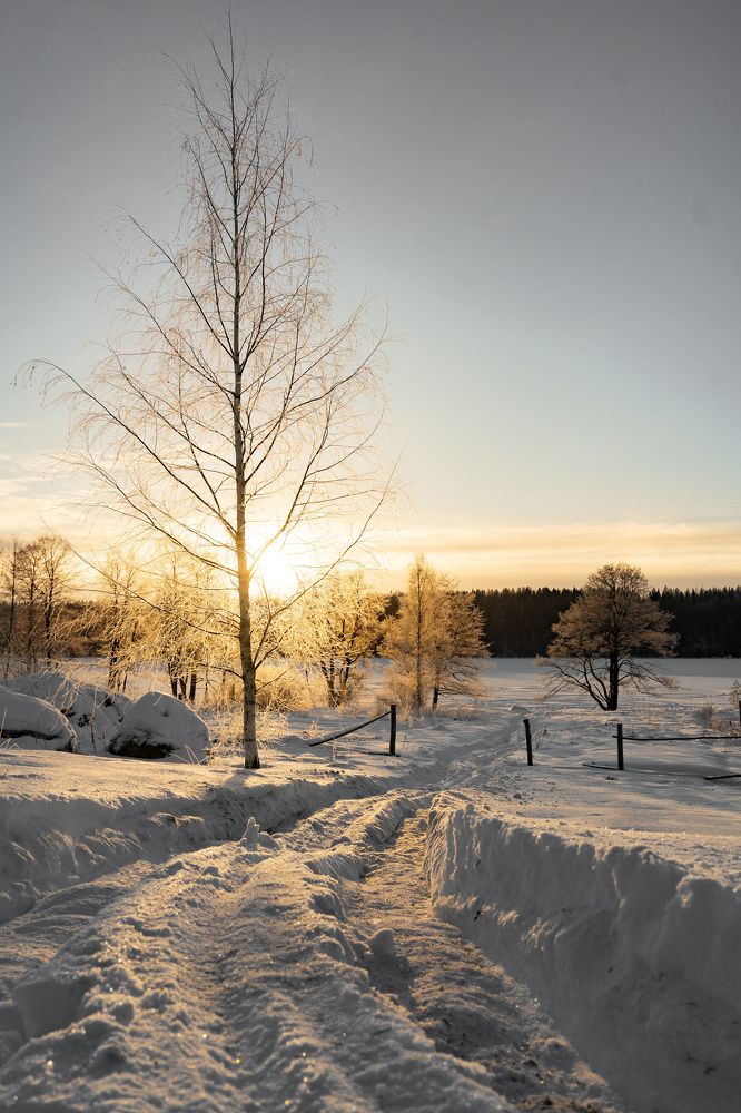 Фотография автора Алексей Туренков