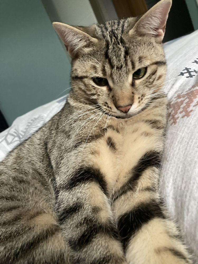 Photograph by Olena Rebrova