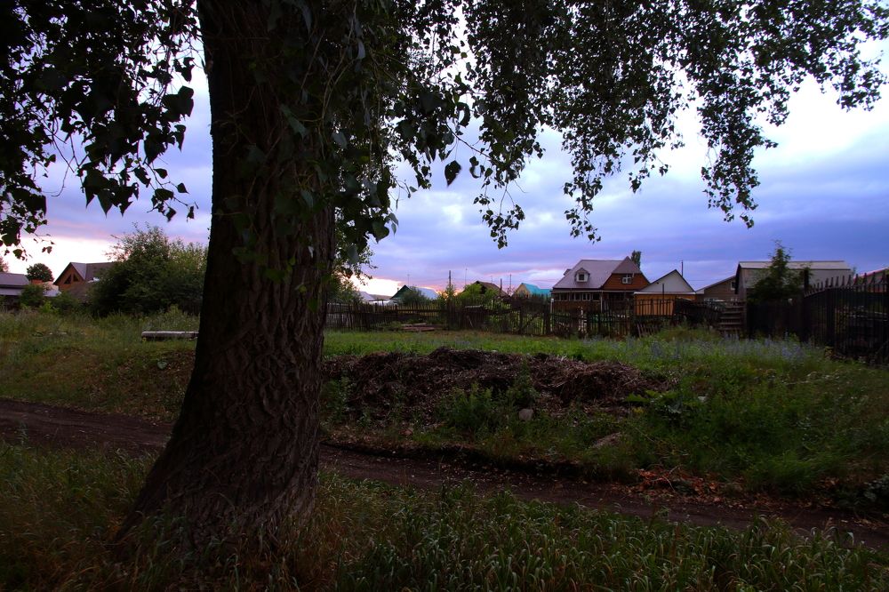 Photograph by Черный Роман