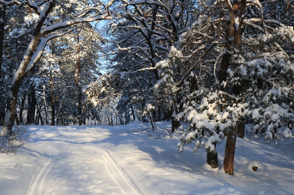 Photograph by Андрей Хитрун