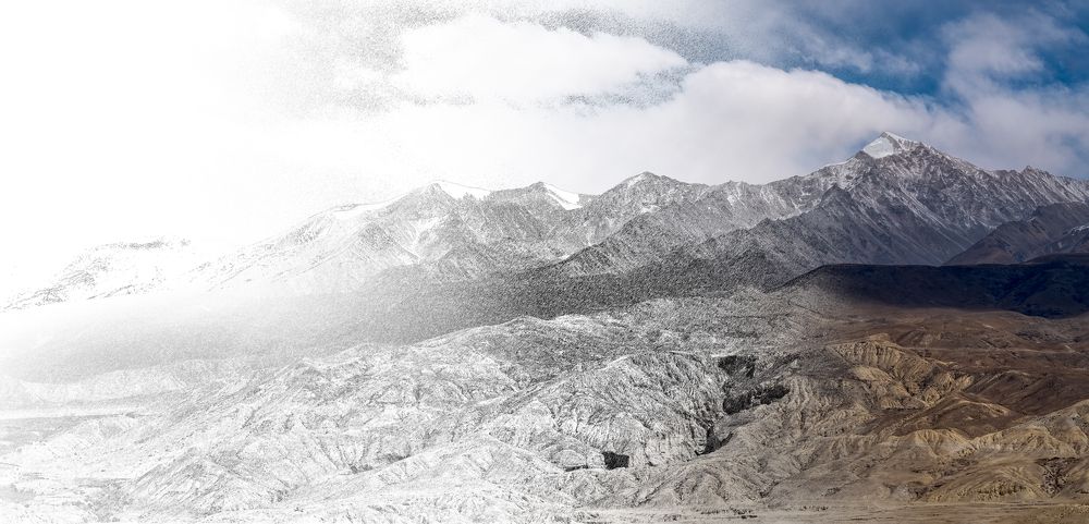 Photograph by Hilda Champion