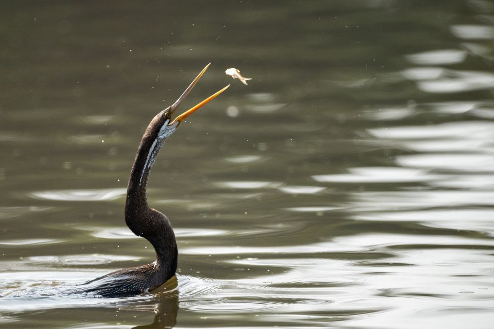 Photograph by Sharad Mansharamani