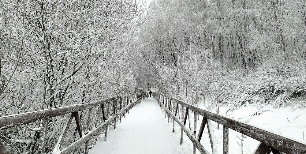 Photograph by Яна Галимуллина