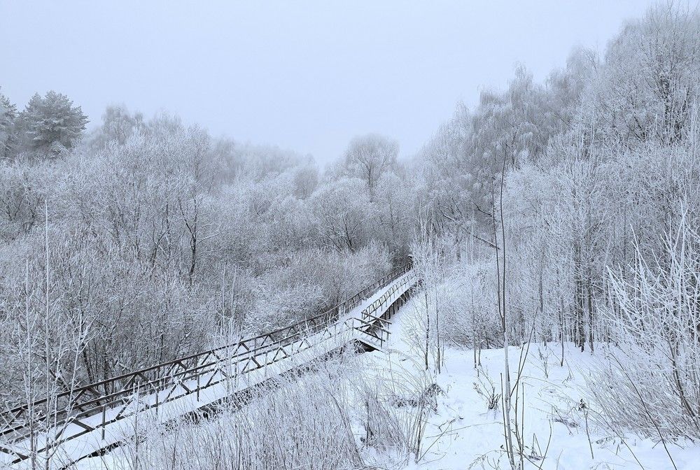 Photograph by Яна Галимуллина