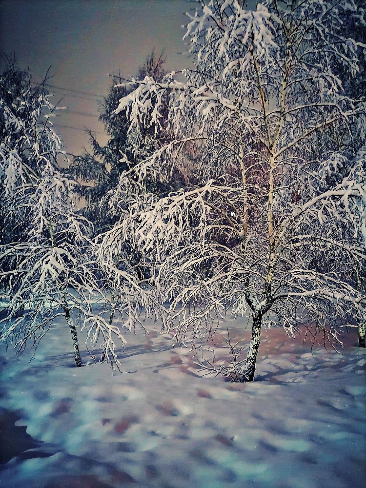 Photograph by Наталья Веряскина