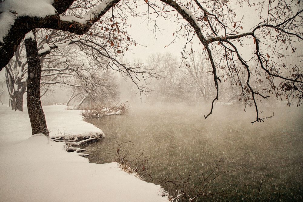 Photograph by EKATERINA WALTER