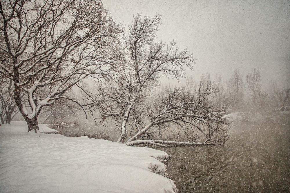 Photograph by EKATERINA WALTER