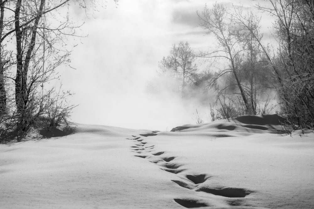 Фотография автора Виталий Гавронский