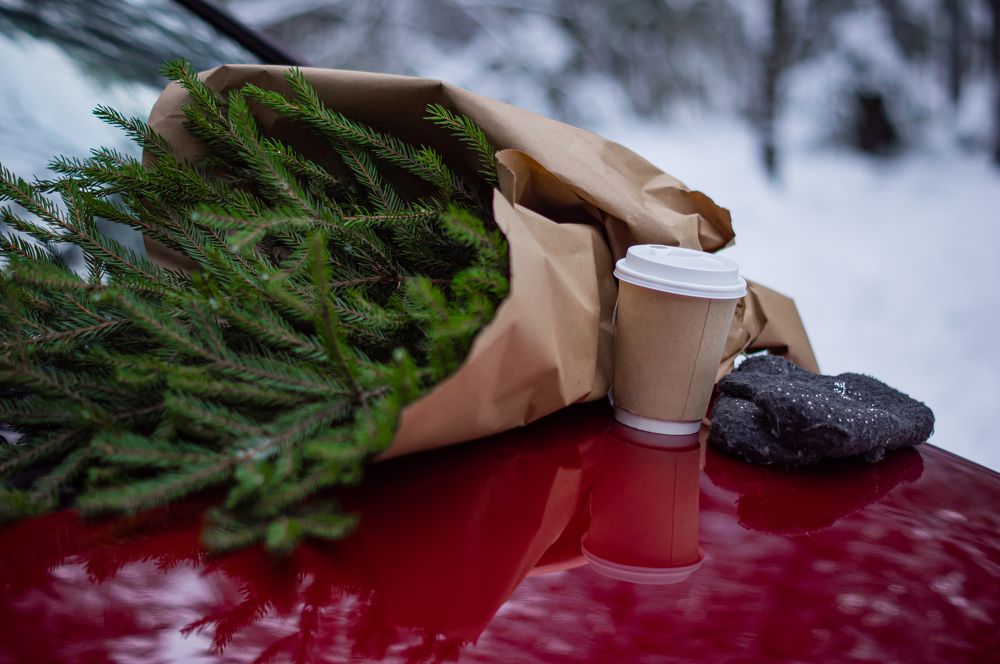 Photograph by Сергей Герасимов