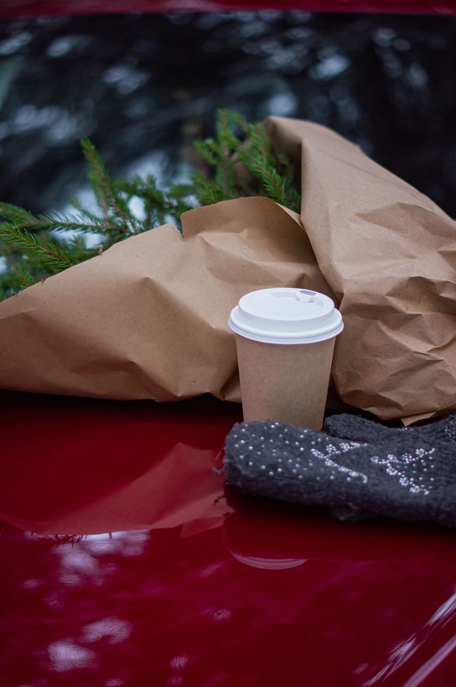 Photograph by Сергей Герасимов