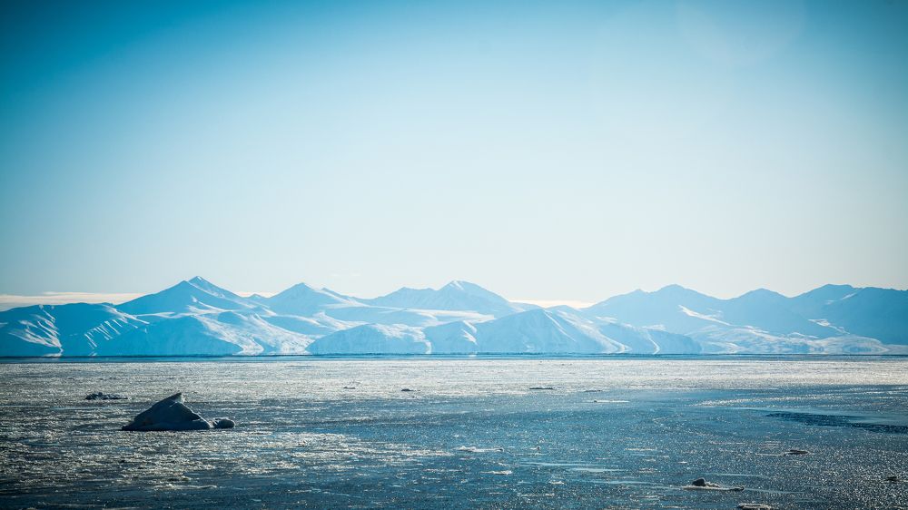 Photograph by Алексей Кальченко