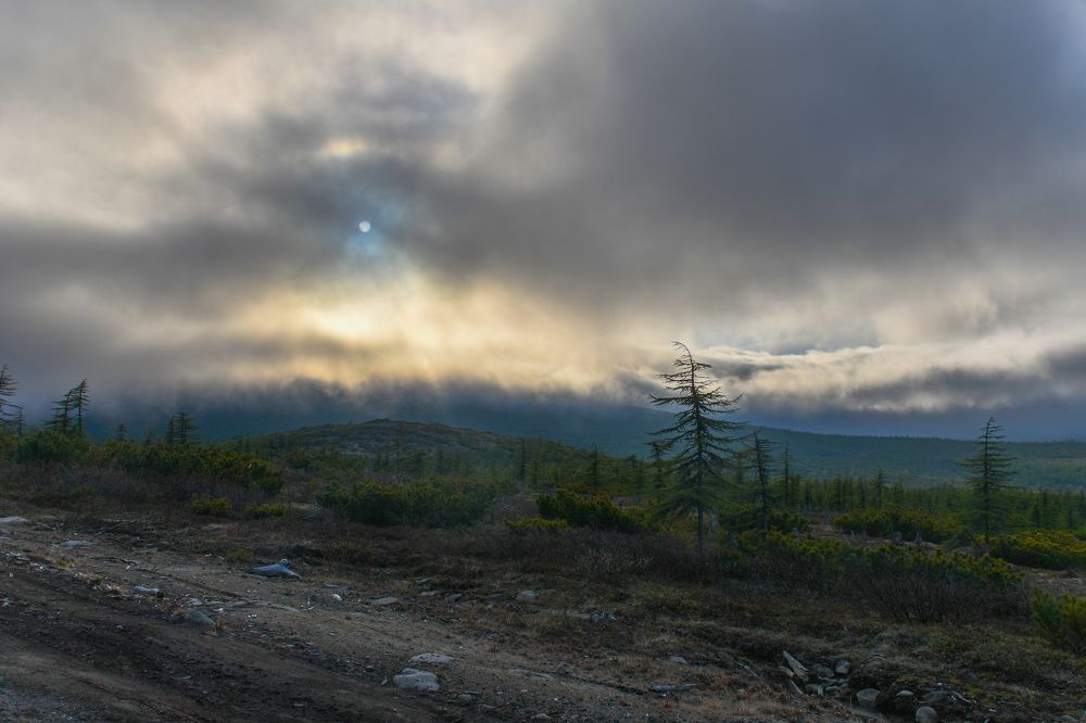 Photograph by Алексей Кальченко
