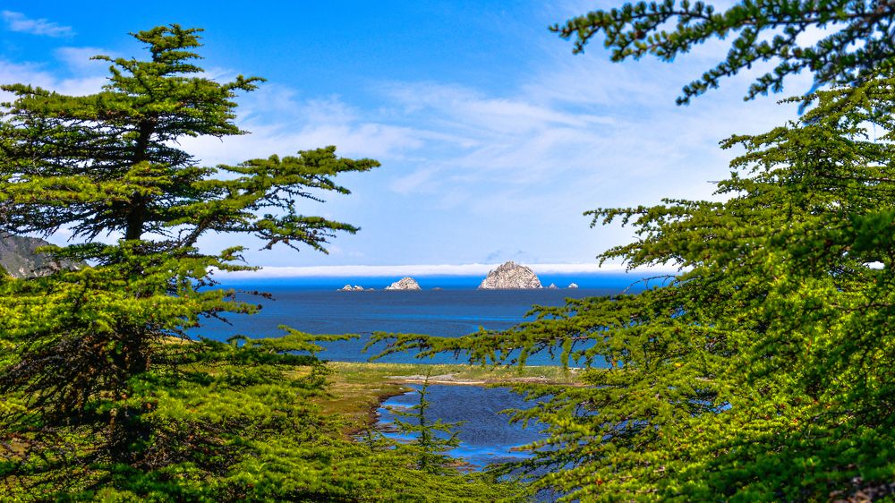 Photograph by Алексей Кальченко