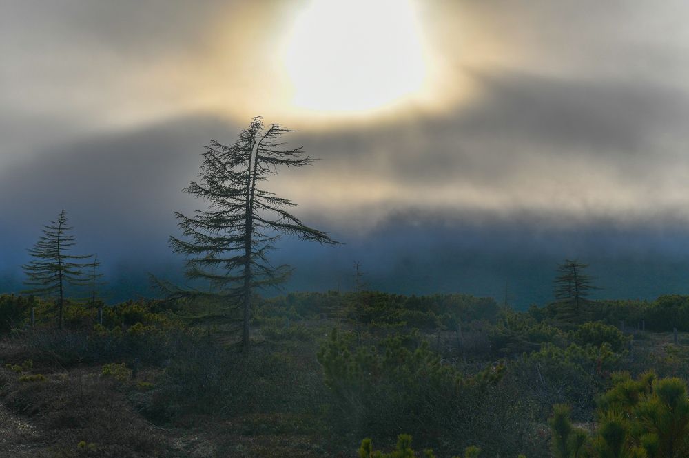Photograph by Алексей Кальченко