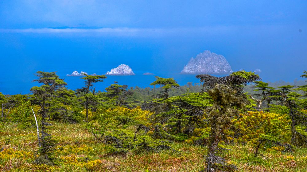 Photograph by Алексей Кальченко