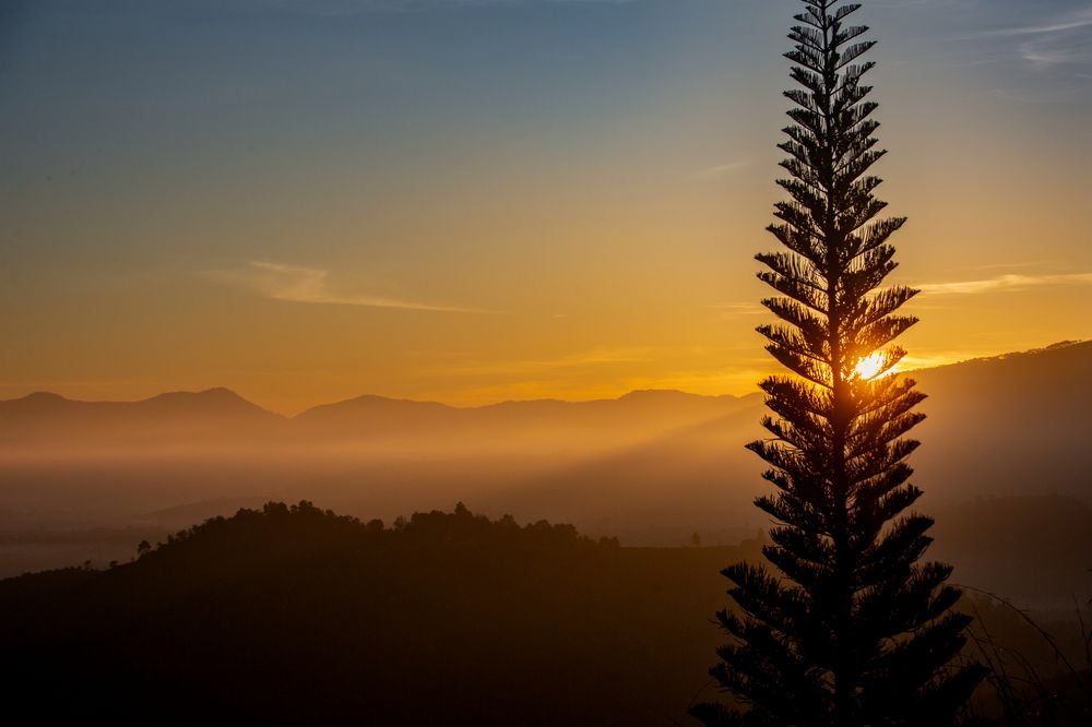 Фотография автора Anh Tri ( Fat Cat )