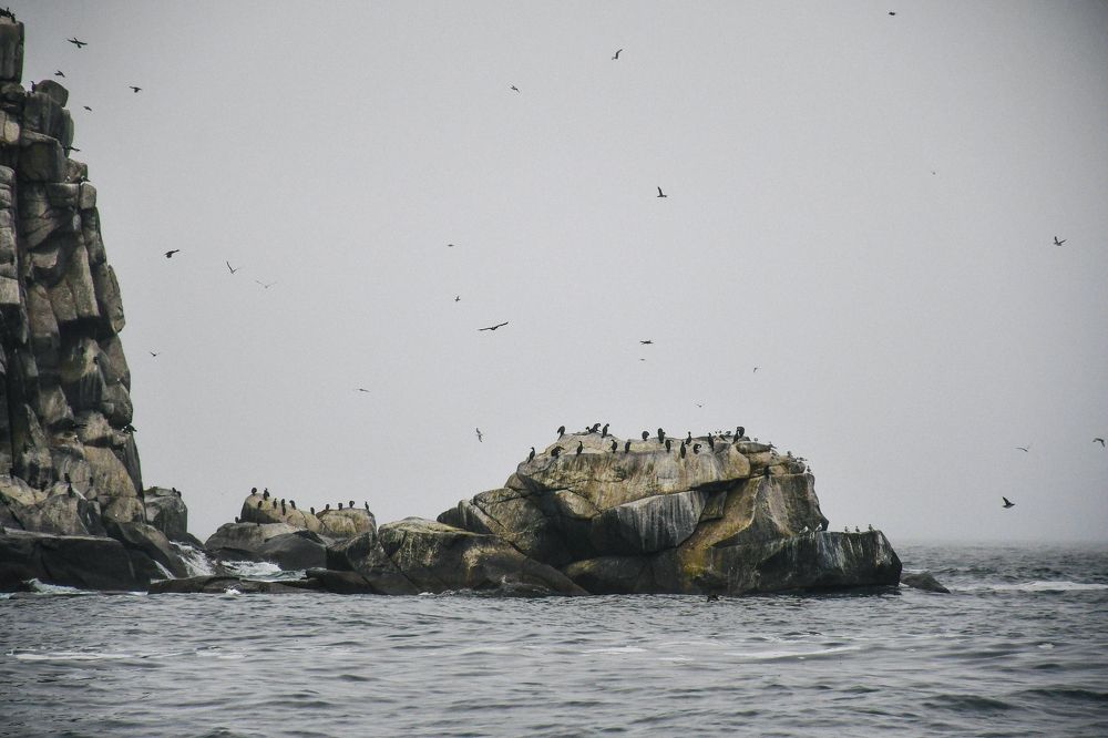 Photograph by Алексей Кальченко