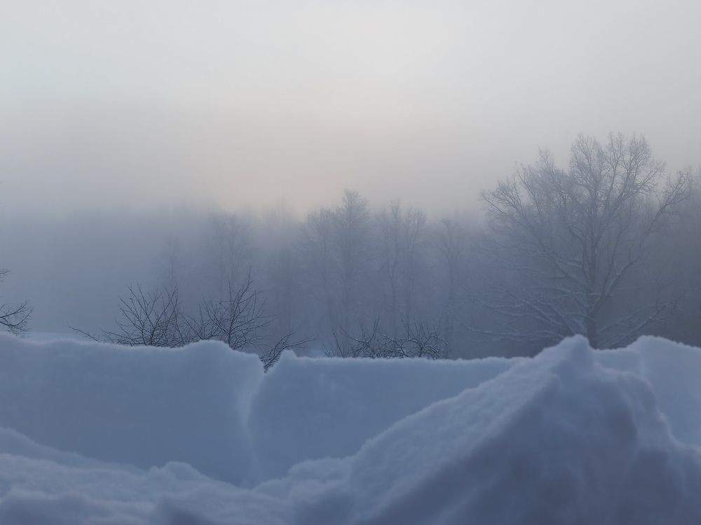 Photograph by Игорь Максимов