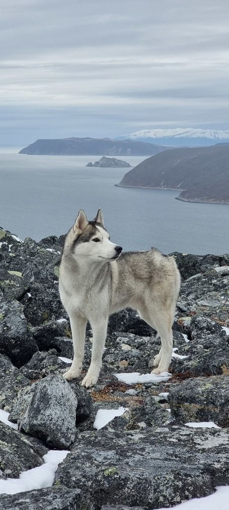 Photograph by Алексей Кальченко