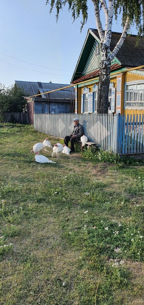 Photograph by Дмитрий