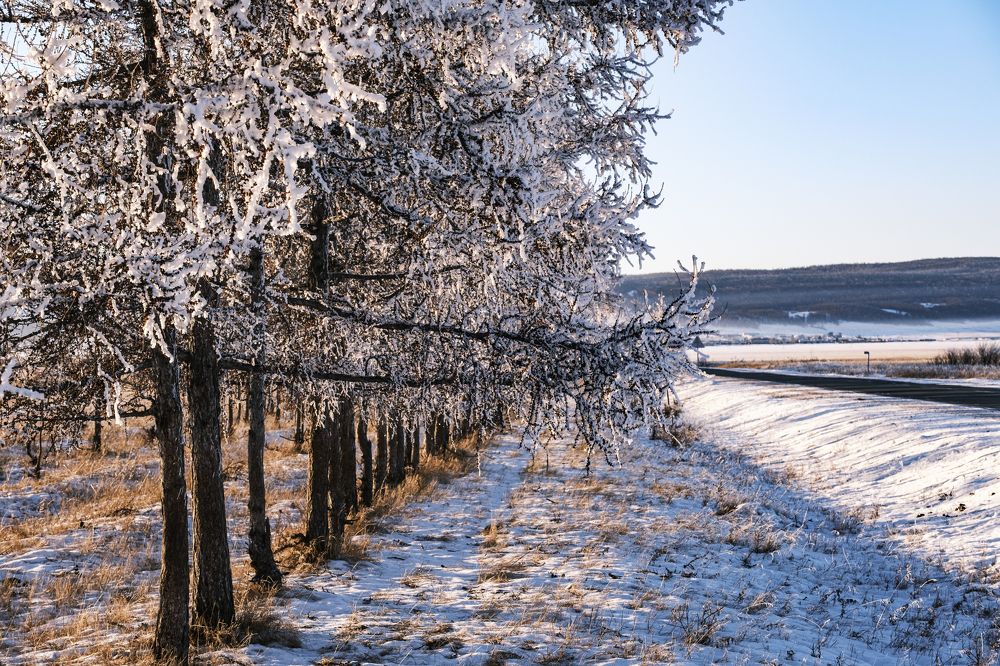 Photograph by Денис Вавилов