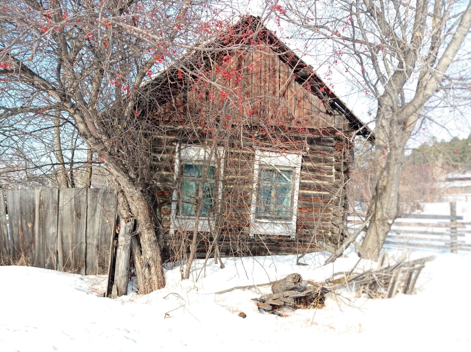 Photo #10156334