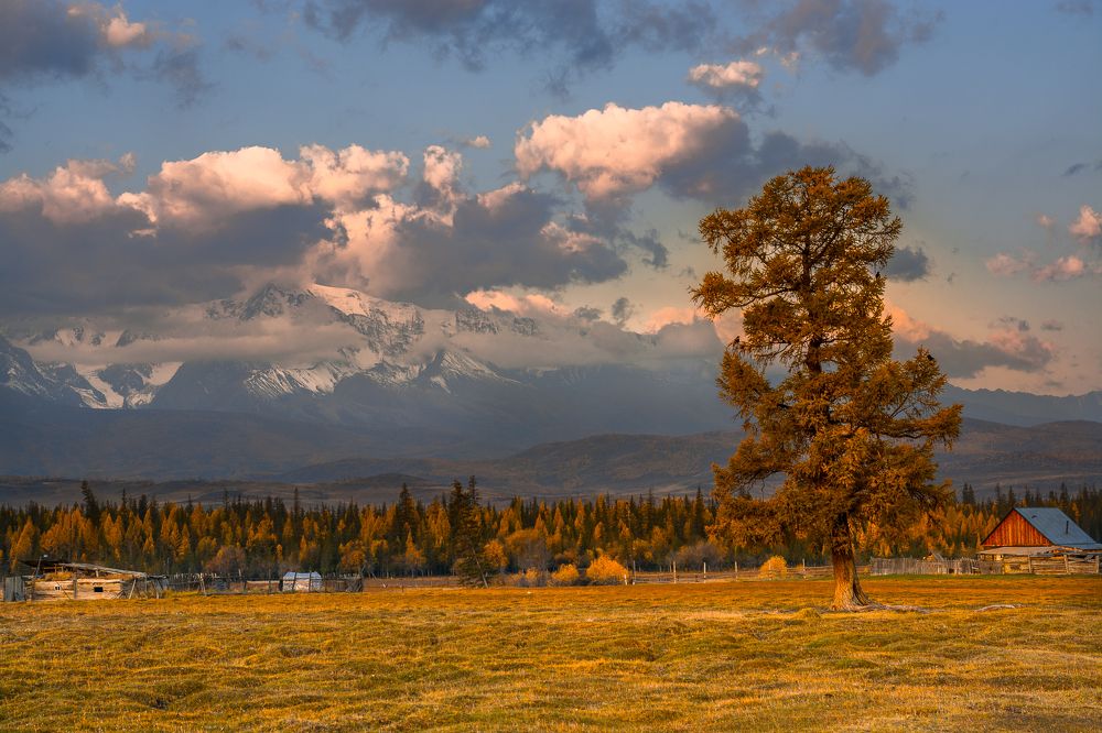 Рассвет в Курае