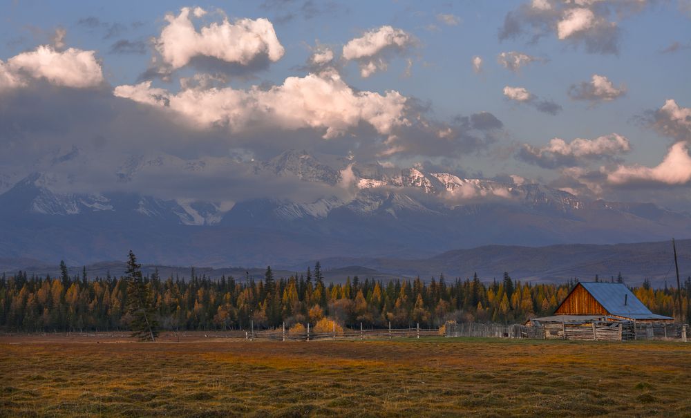 Курайские зори