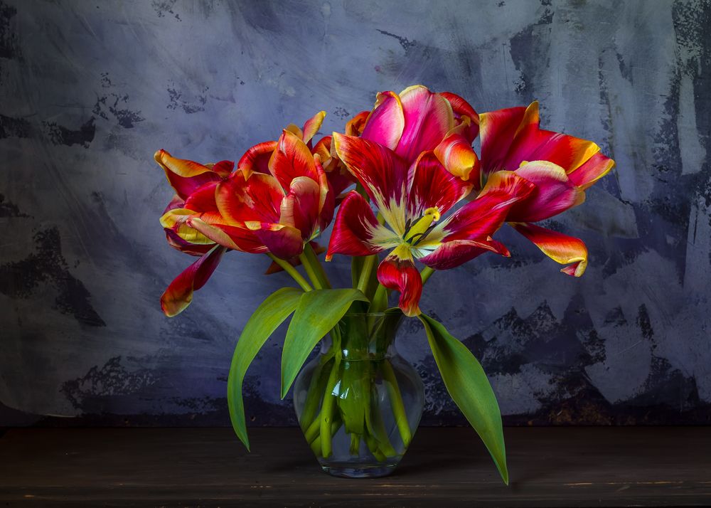 Photograph by Сергей Алексеев