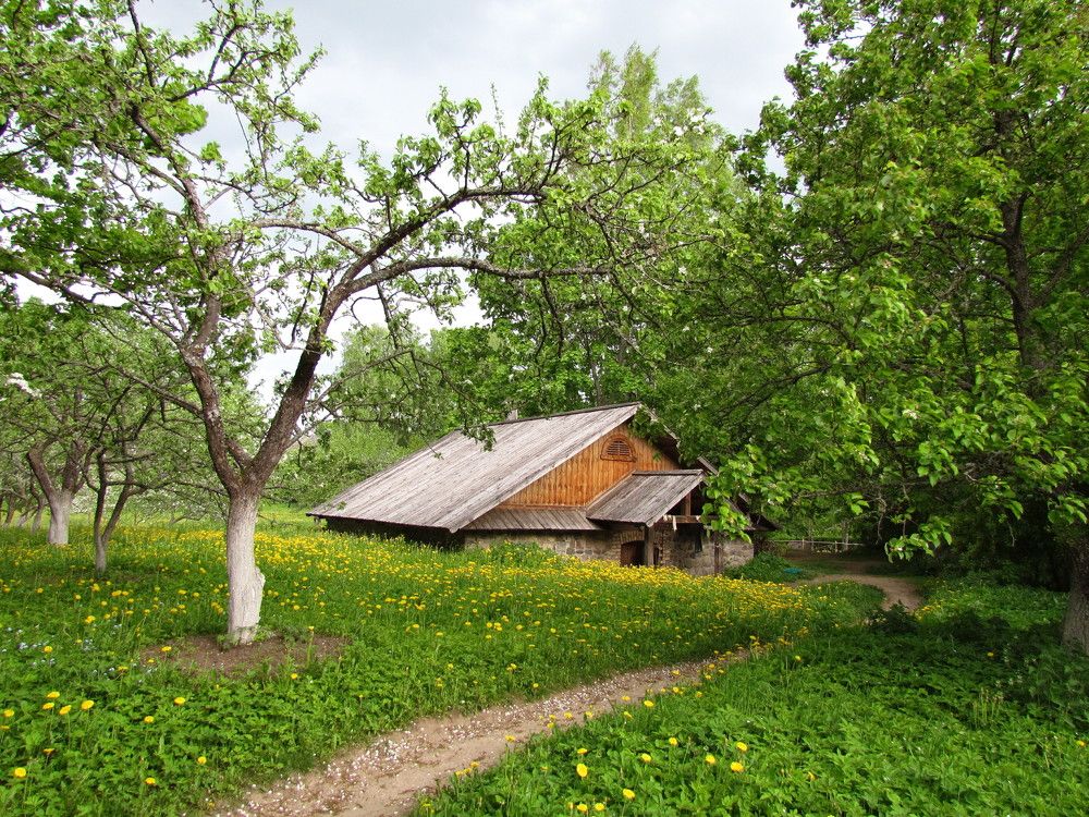 Photograph by Владимир Грибков