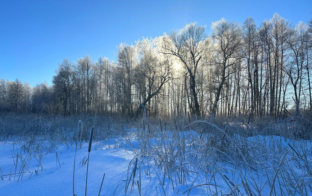 Photograph by Юрий Бувин