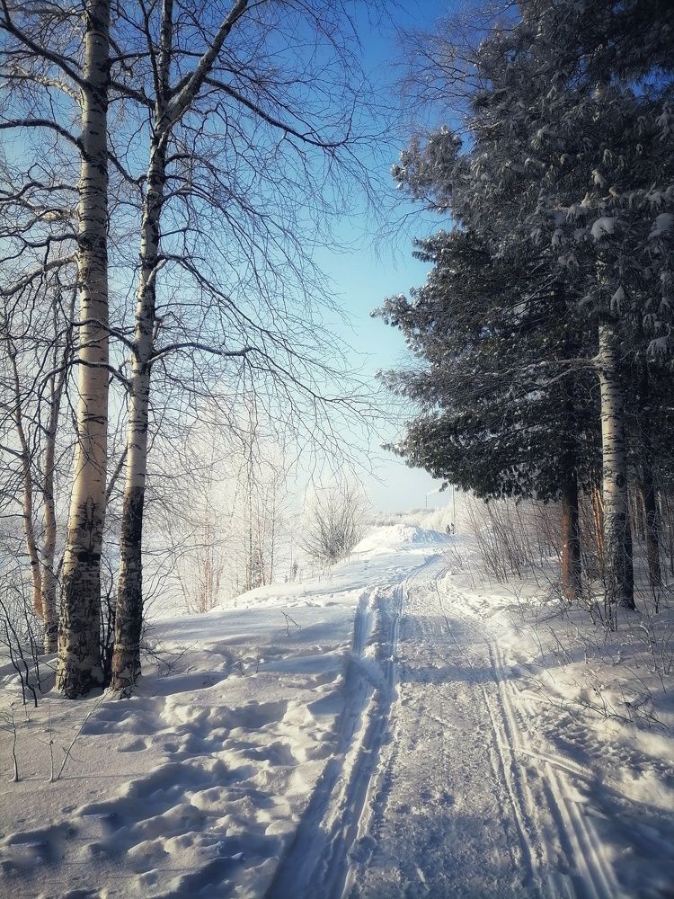 Photograph by Вера