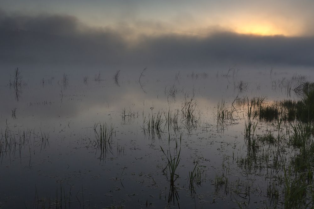 Photograph by Олег Тетерин