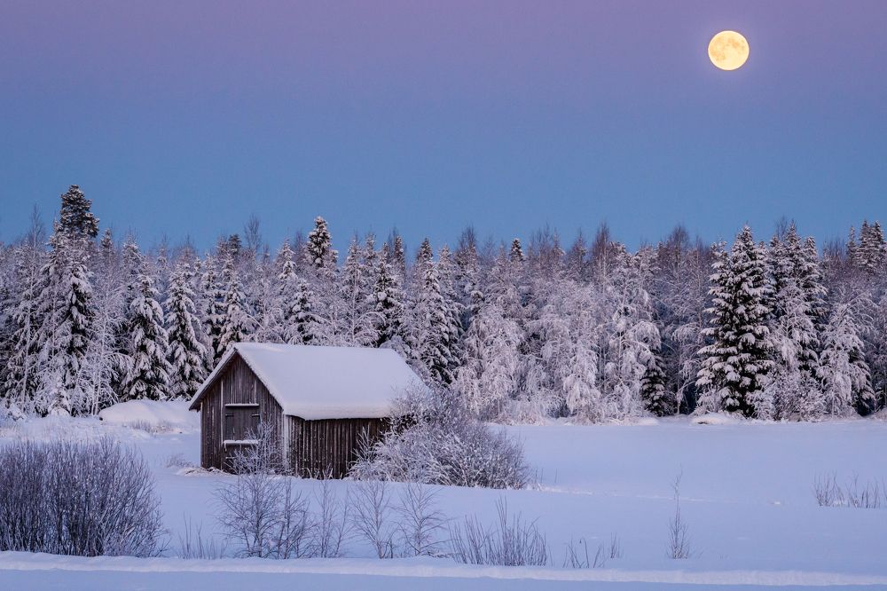 Фотография автора Katrin Lillenthal