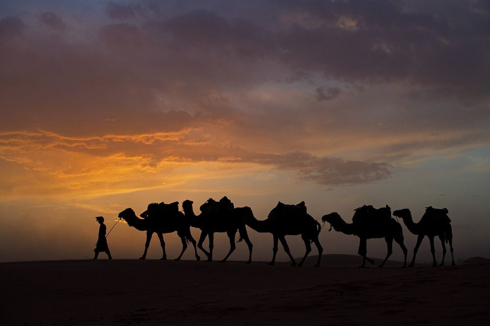 Photograph by Celaloflaz