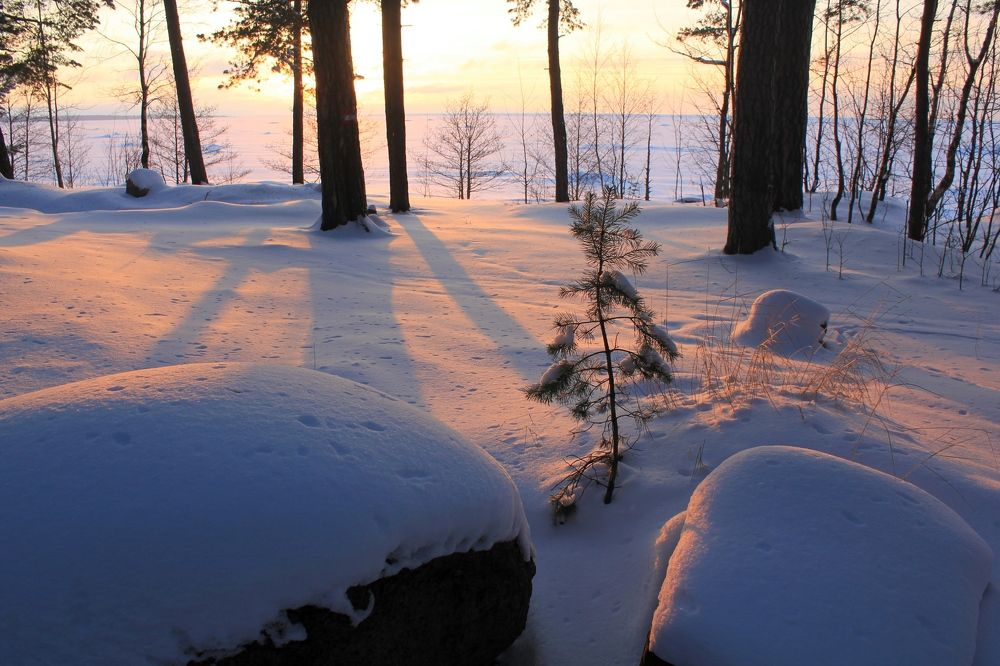 Photograph by Olga Bagaeva