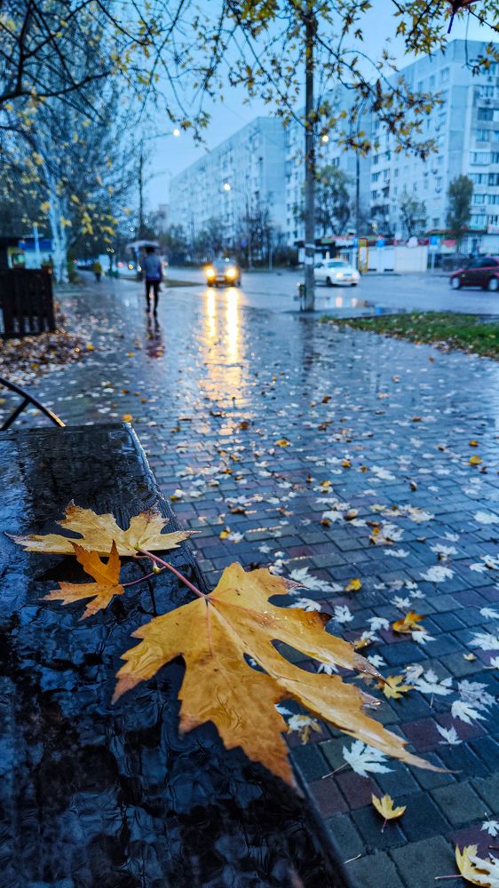 Осень в голубом!