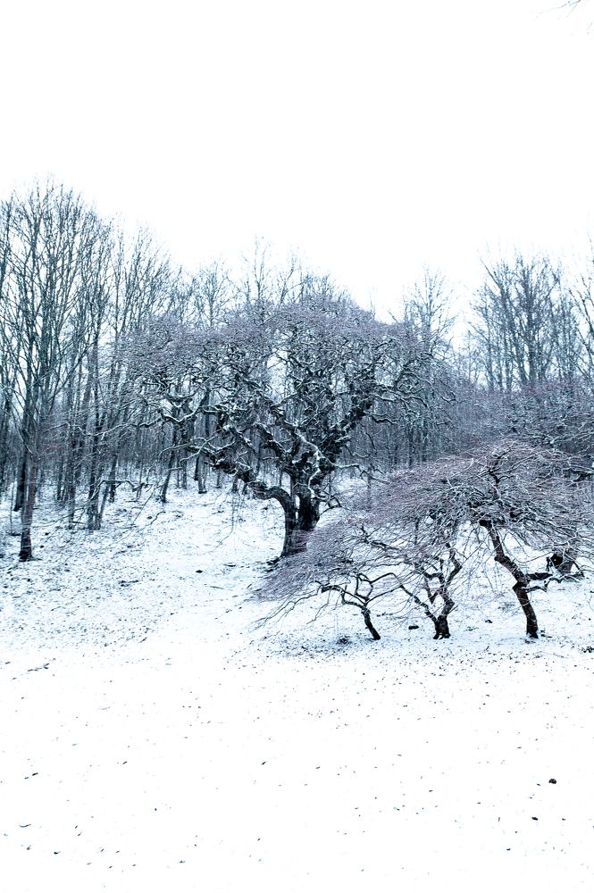 Photograph by Иво Йорданов