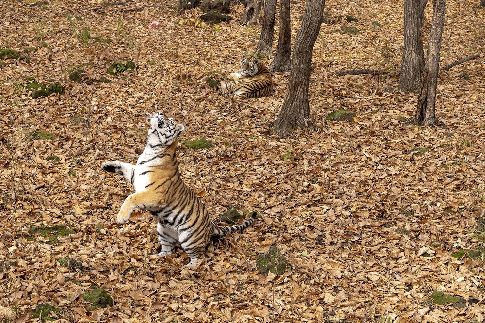 Photograph by Алексей Заморкин