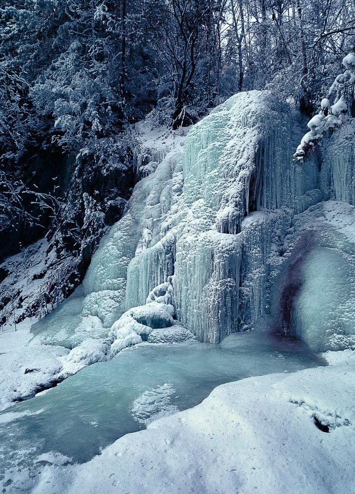 Photograph by VLADIMIR VOROBIEV