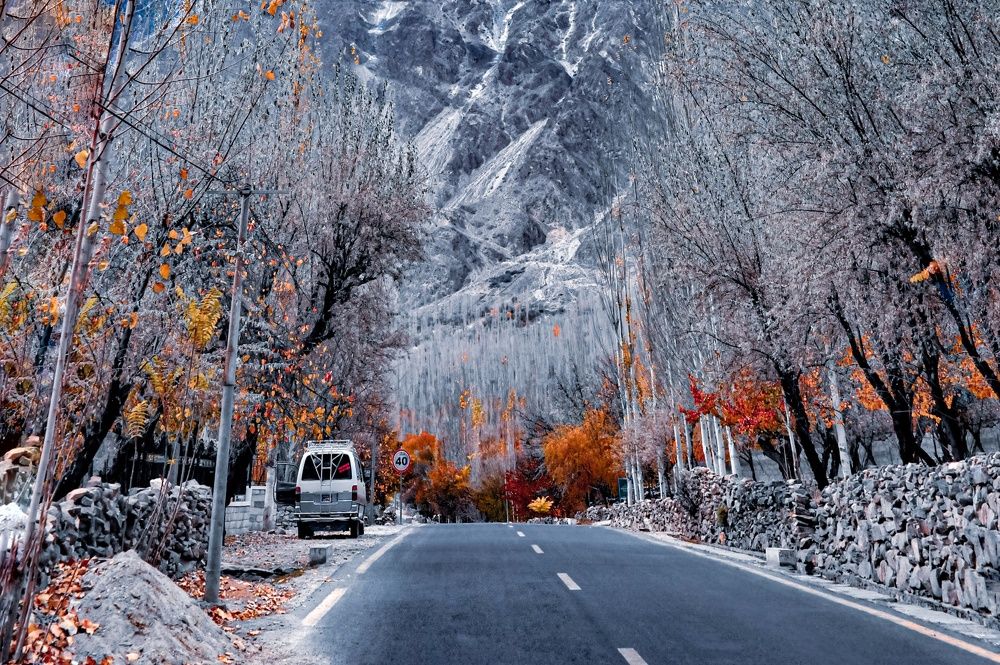 Nature Under The Snow