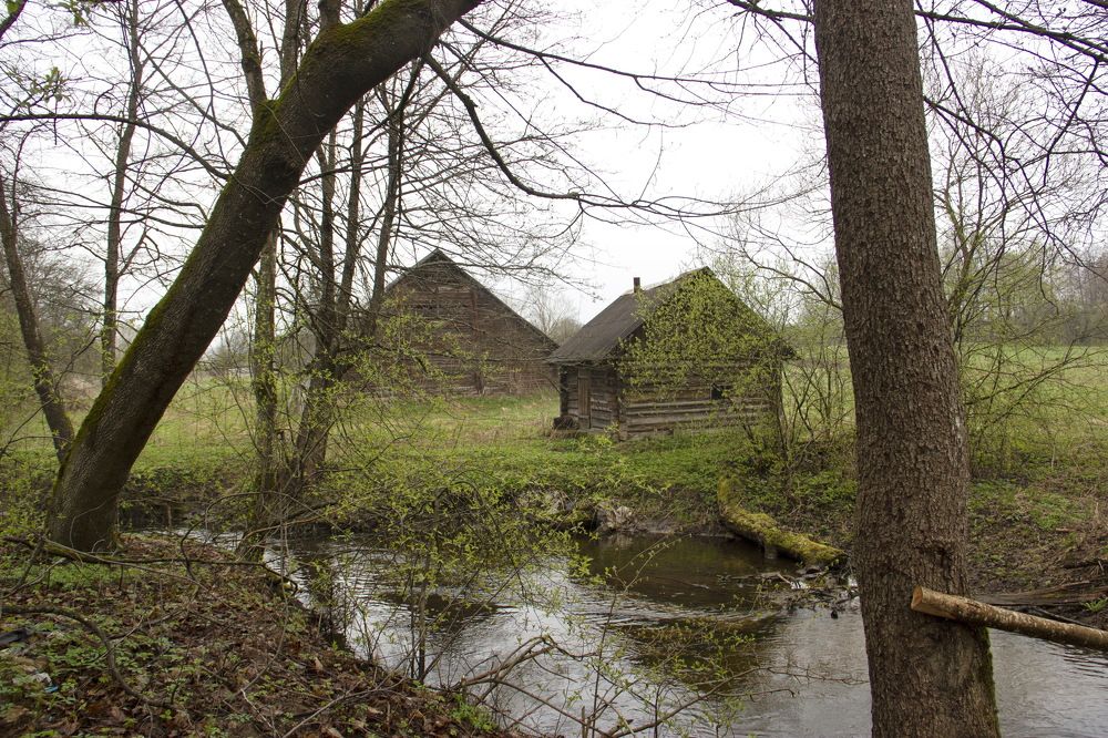 Photograph by Анна-Лаймуте Милошевич