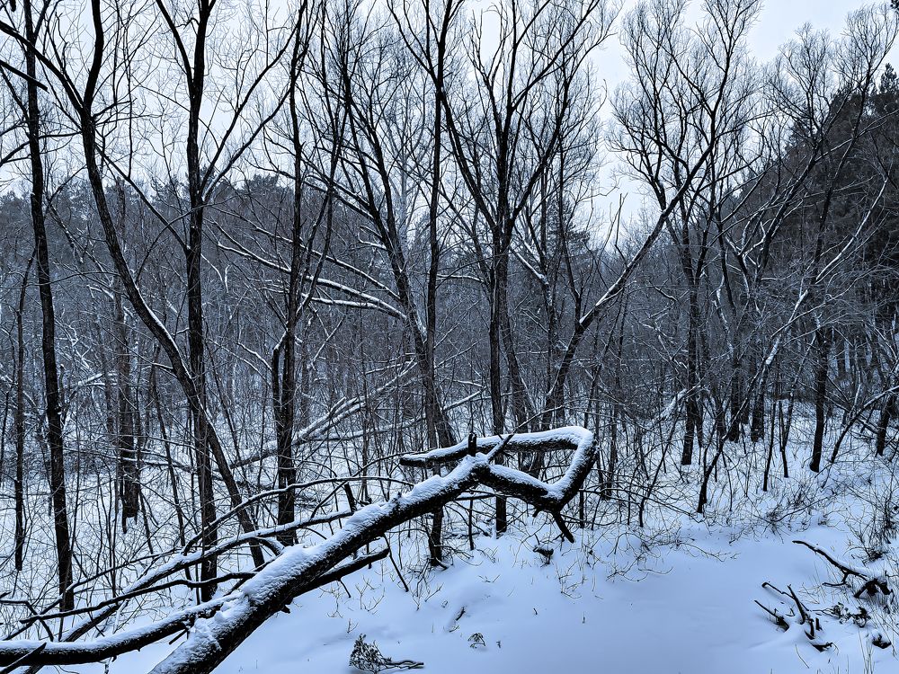 Photograph by Наталья Веряскина