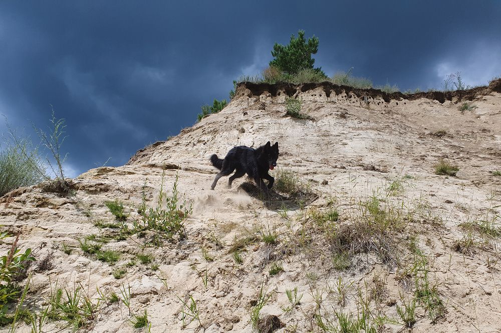 Фотография автора Надежда Лисицына